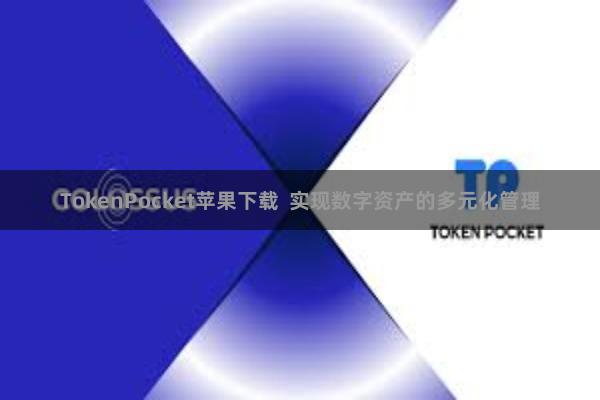 TokenPocket苹果下载 实现数字资产的多元化管理